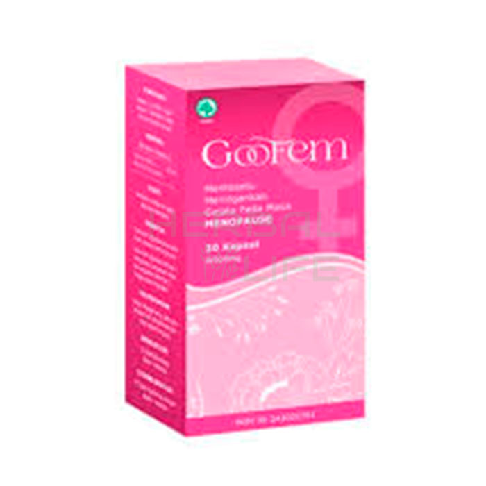 Goofem - product for the health of the genitourinary system