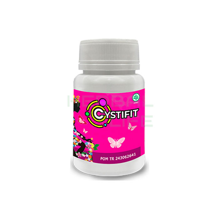 Cystifit - product for the health of the genitourinary system